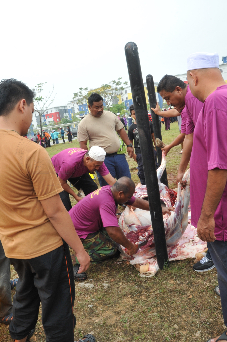 PRO15 150 KORBAN HAS 6818